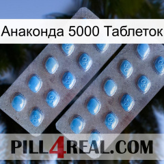 Анаконда 5000 Таблеток viagra4